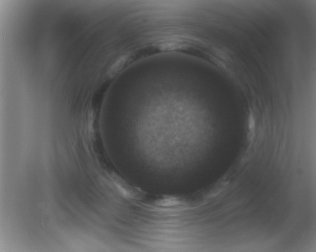 X0000081600219200701221145