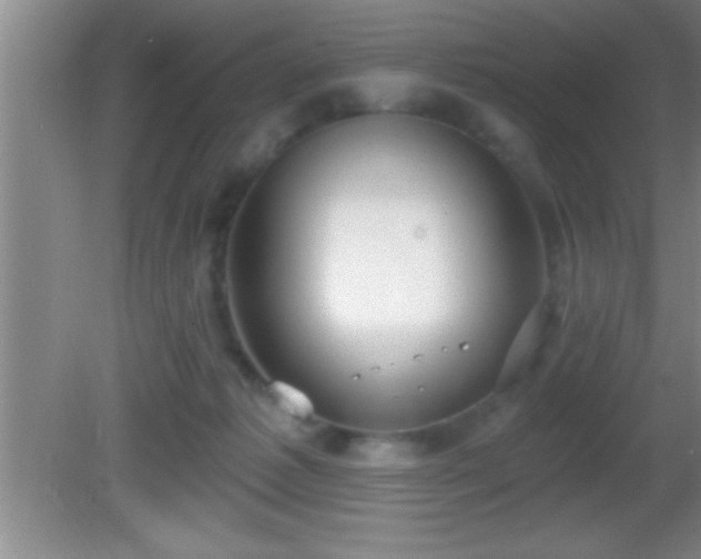 X0000081600221200701221145