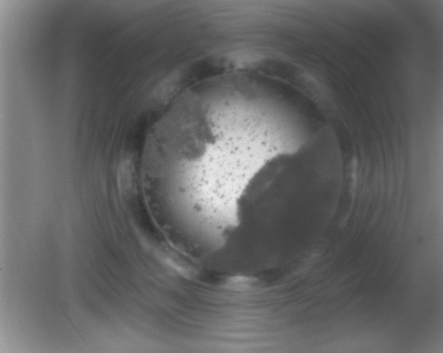 X0000081600222200701221145