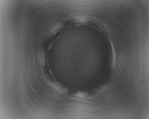 X0000081600223200701221145