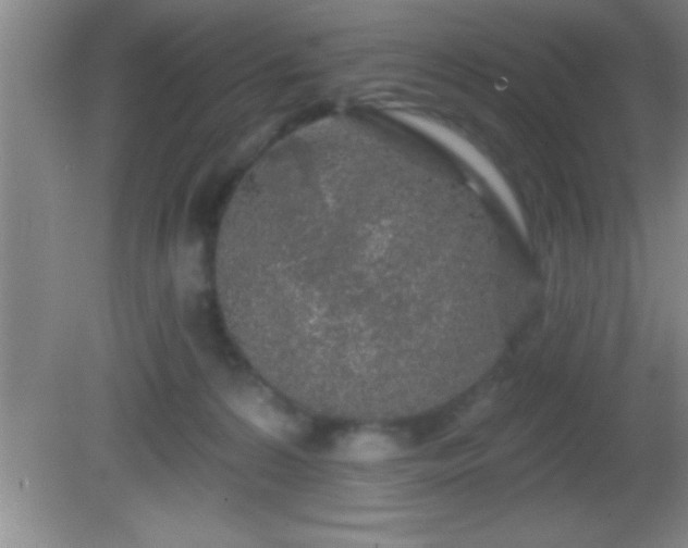 X0000081600224200701221145