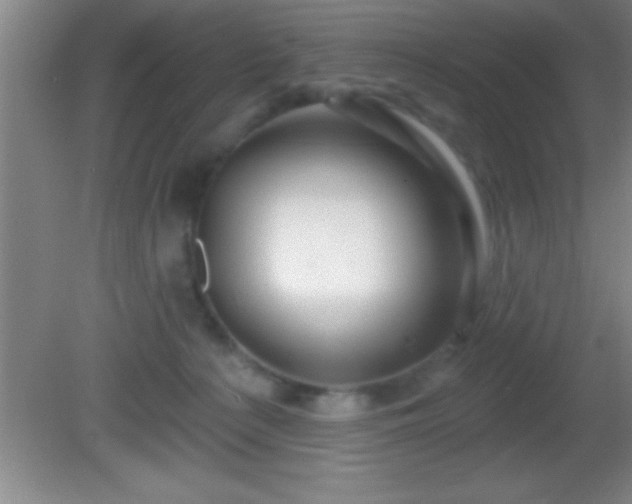 X0000081600225200701221145