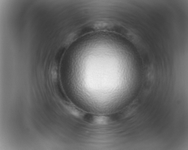 X0000081600226200701221145