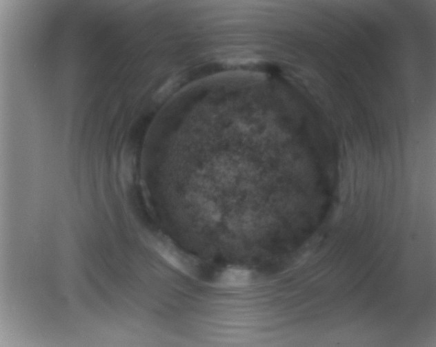 X0000081600227200701221145