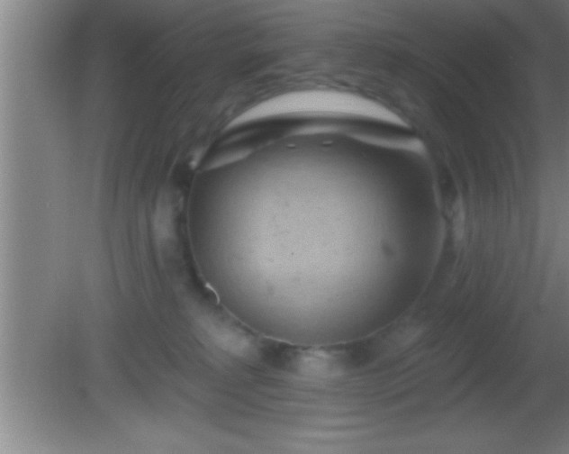 X0000081600229200701221144