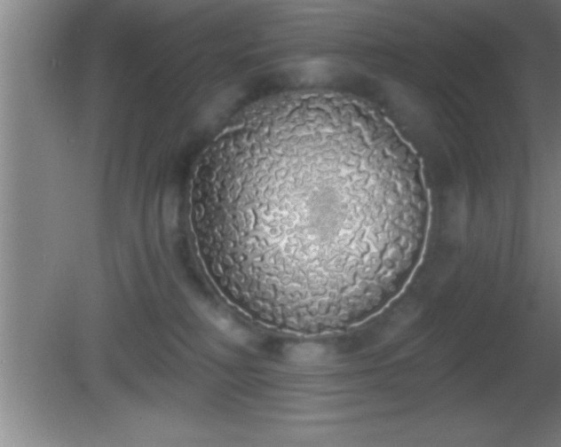 X0000081600230200701221144