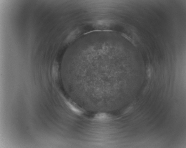 X0000081600231200701221144