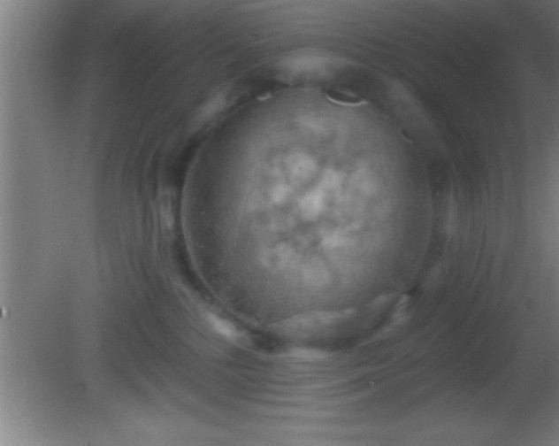 X0000081600232200701221144