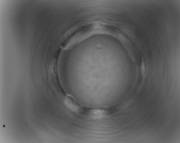 X0000081600233200701221144