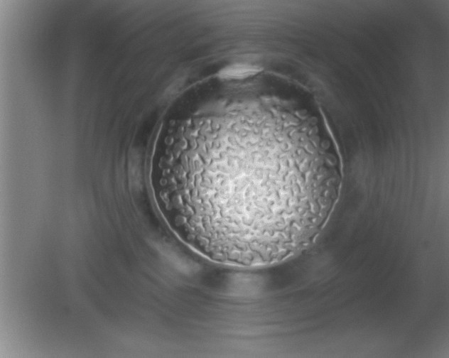 X0000081600234200701221144