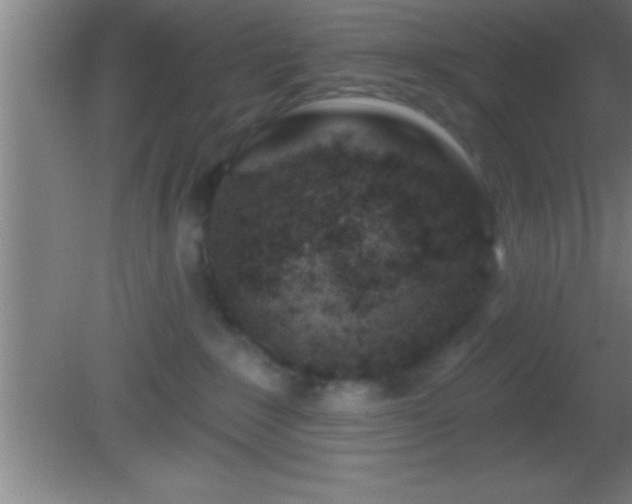 X0000081600235200701221144