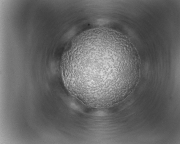 X0000081600236200701221144