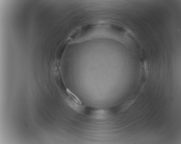 X0000081600237200701221144