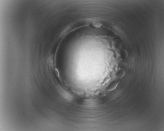 X0000081600238200701221144