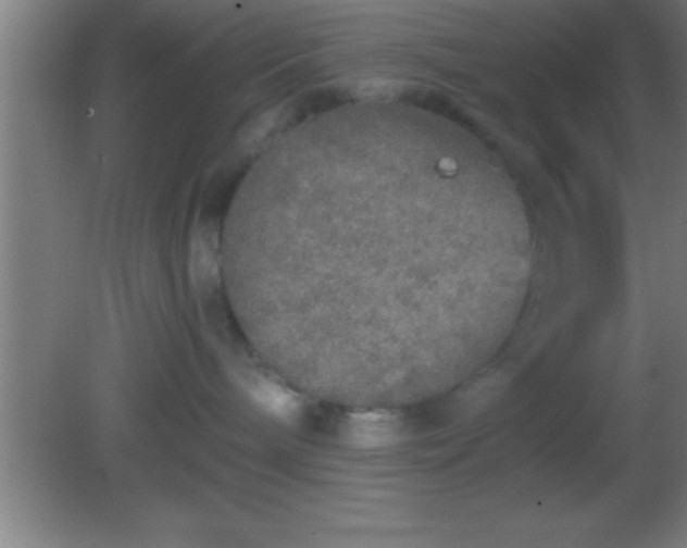 X0000081600240200701221144