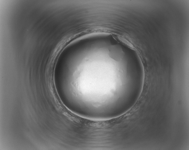 X0000081600241200701221143