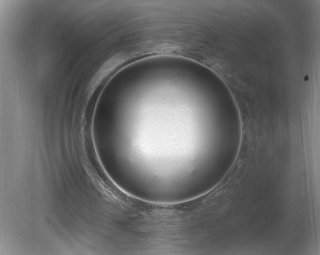 X0000081600242200701221144