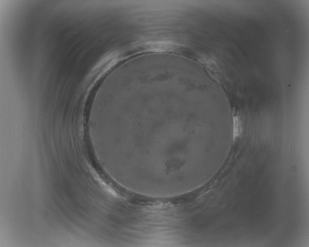 X0000081600243200701221144