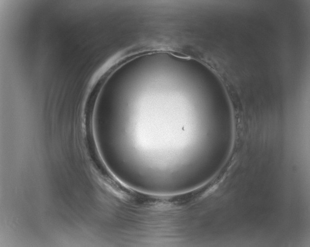 X0000081600246200701221144