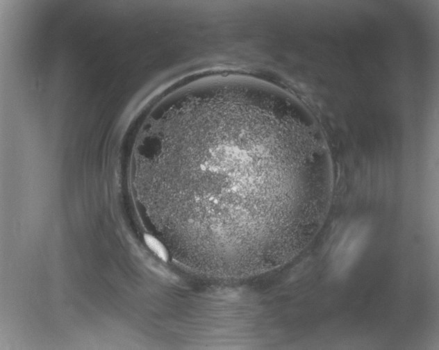 X0000081600247200701221144