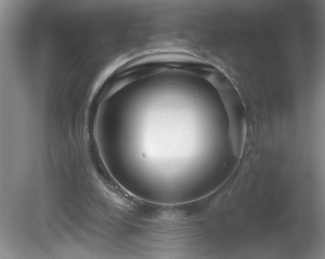 X0000081600248200701221144