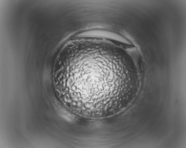 X0000081600249200701221144