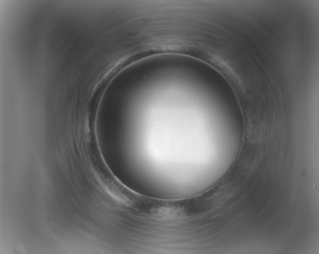 X0000081600251200701221144