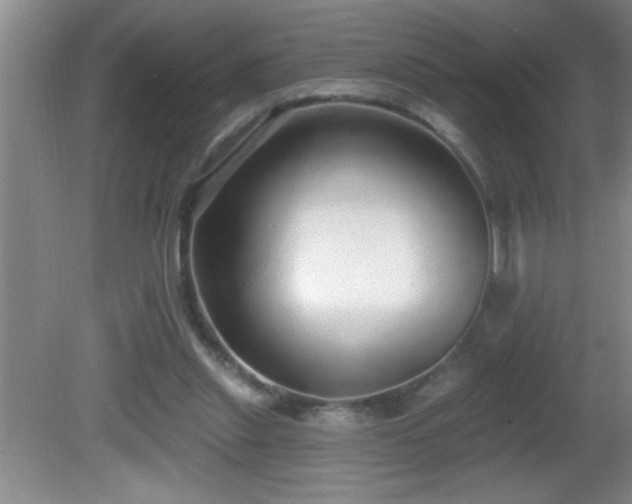 X0000081600253200701221144