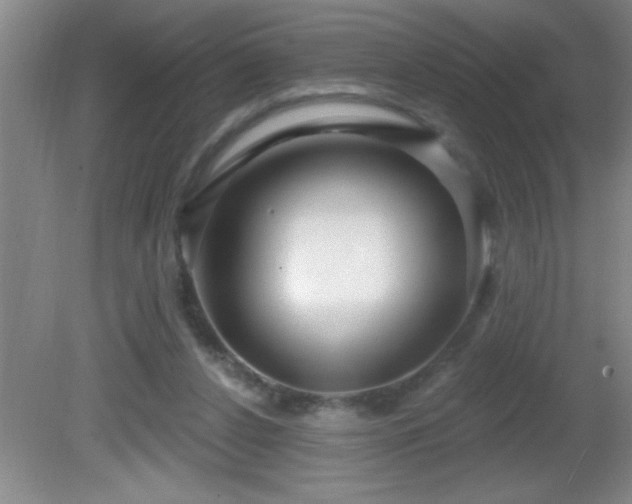 X0000081600256200701221144