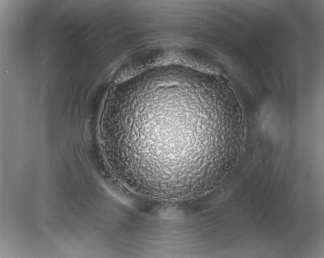 X0000081600258200701221144