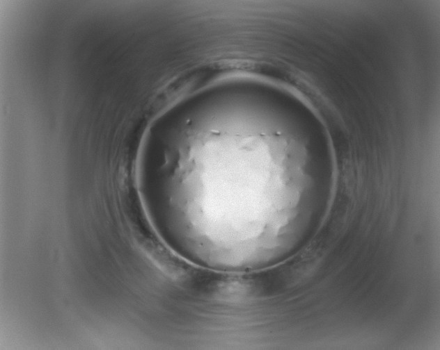 X0000081600259200701221144