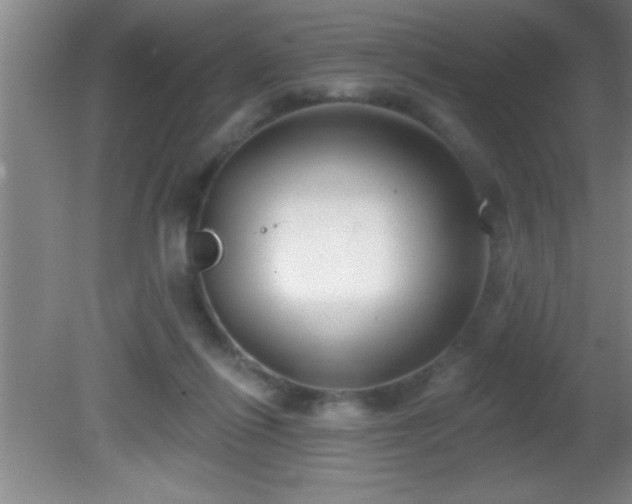 X0000081600262200701221144