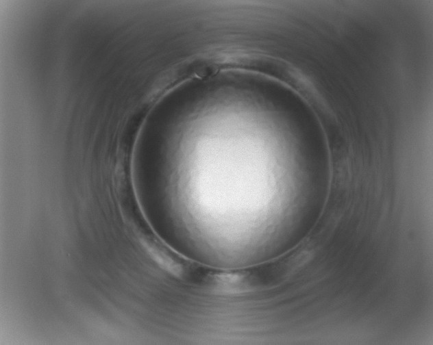 X0000081600265200701221144