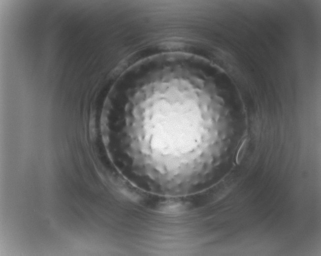 X0000081600267200701221144