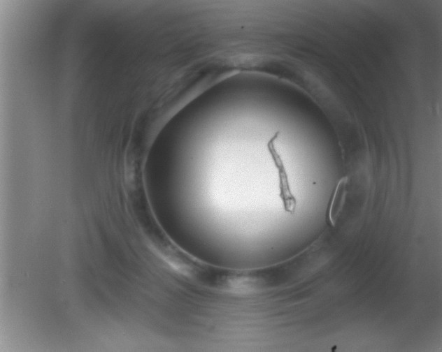 X0000081600268200701221144