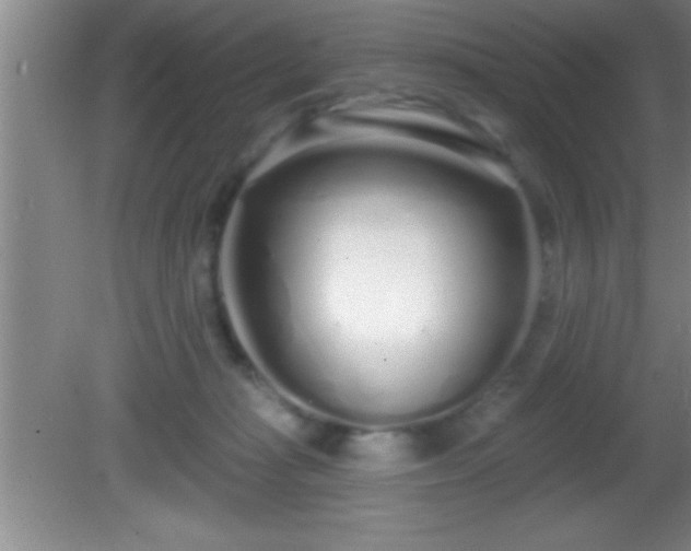 X0000081600269200701221144