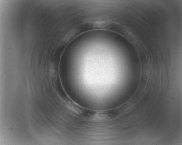 X0000081600270200701221144