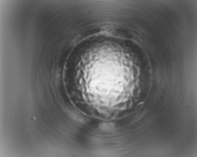 X0000081600271200701221144