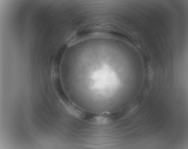 X0000081600272200701221144