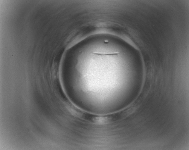 X0000081600273200701221144