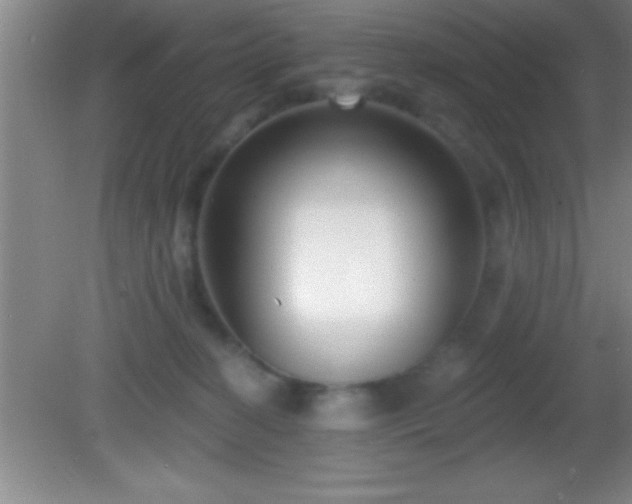 X0000081600274200701221144