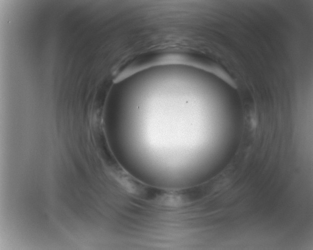 X0000081600276200701221144