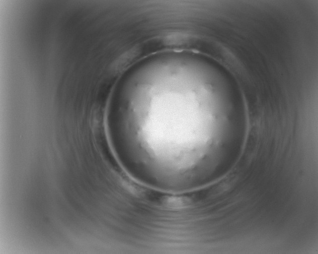 X0000081600277200701221144