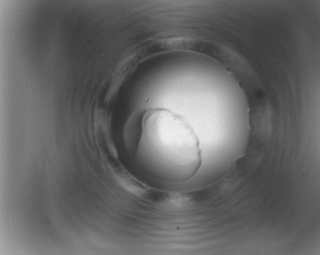 X0000081600278200701221144