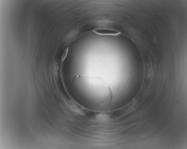 X0000081600279200701221144