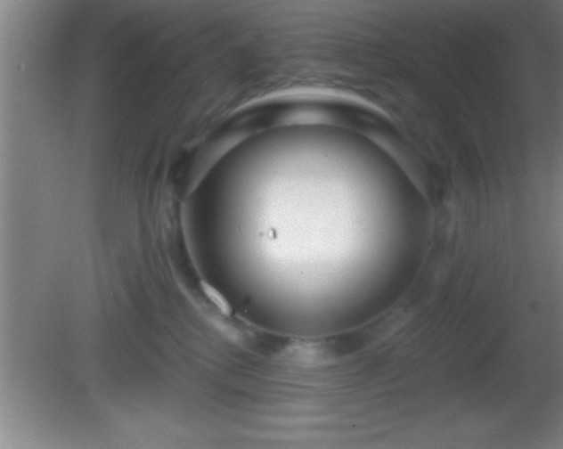 X0000081600280200701221144