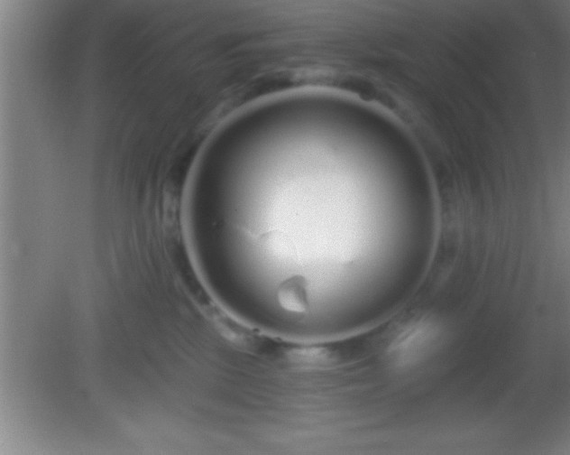 X0000081600281200701221144