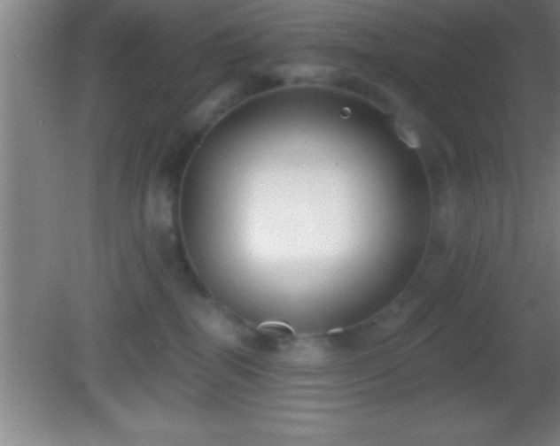 X0000081600282200701221144