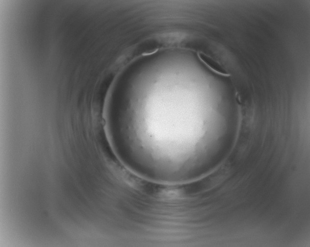 X0000081600283200701221144