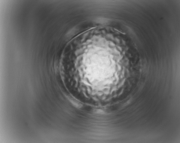 X0000081600285200701221144